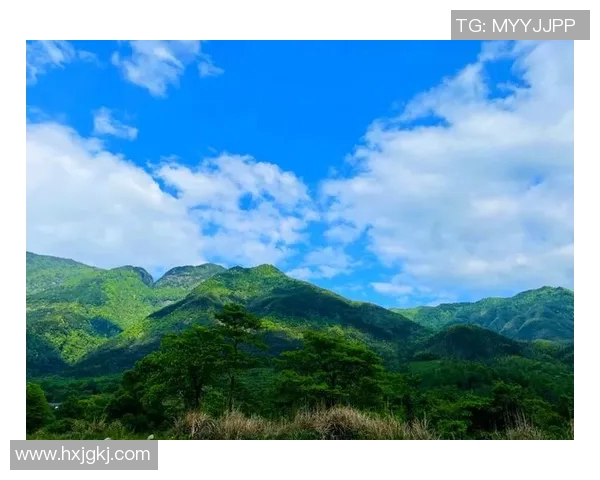 宜春明月山的自然风光与南昌篮球的激情碰撞探寻两地文化与体育的交汇点